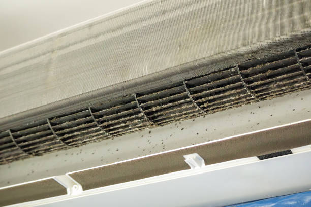 Best Emergency Air Duct Cleaning  in Thiensville, WI